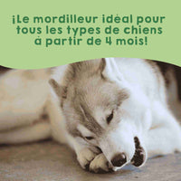 Snack au fromage de l’Himalaya pour chiens.