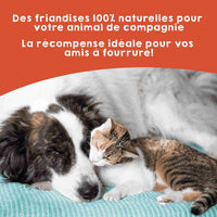 Snack naturel en rouleau de saumon comme friandise pour chiens et chats