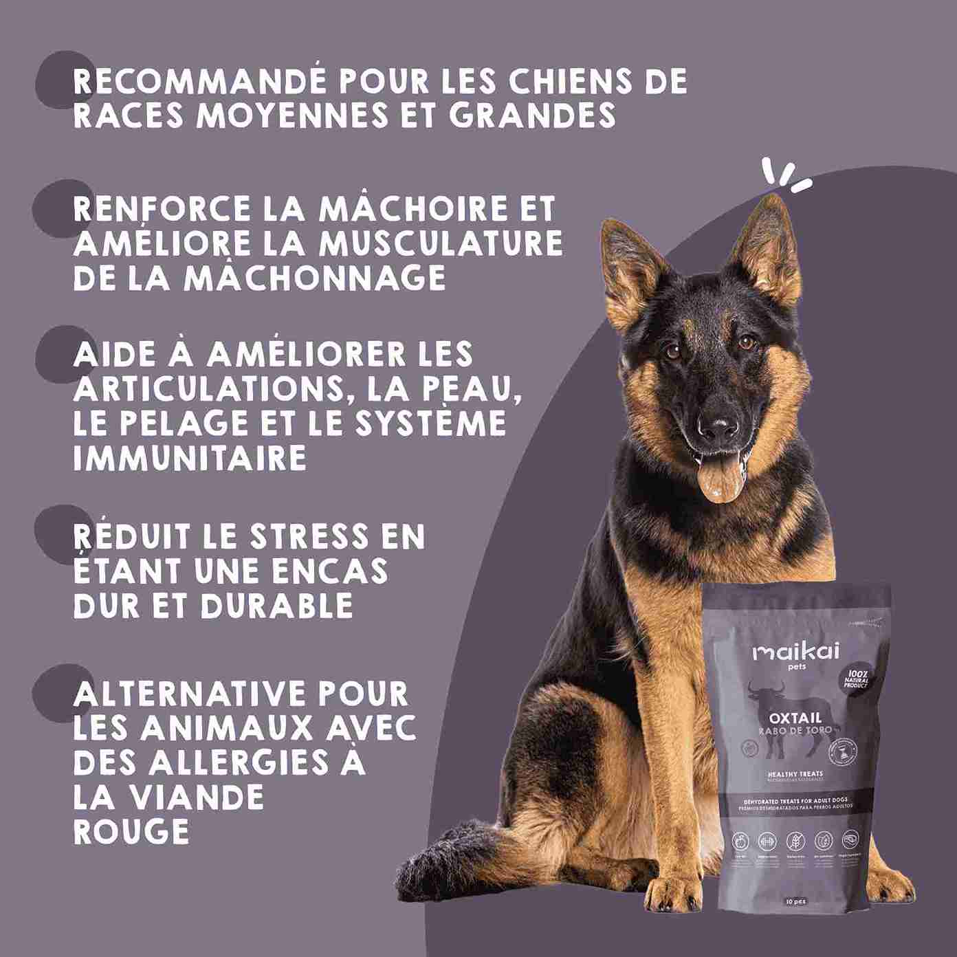 Snack naturel de queue de taureau pour chiens