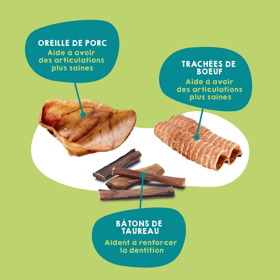 Snacks déshydratés pour chiens de grande race.