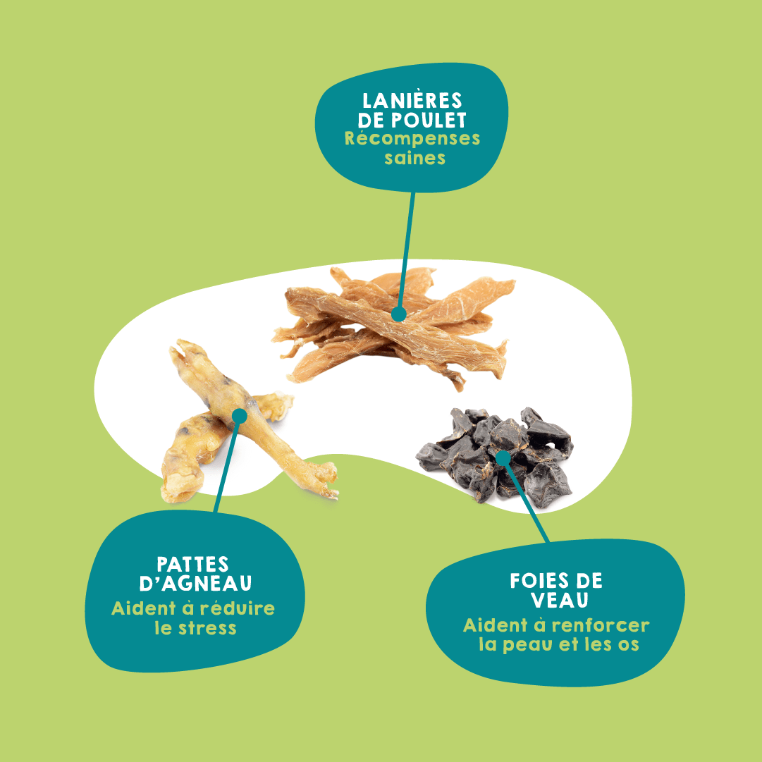 Snacks déshydratés pour petits chiens.