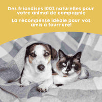 Snacks naturels a base de lanieres de poulet pour chiens et chats