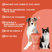 Snacks naturels en rouleaux de saumon pour chiens et chats