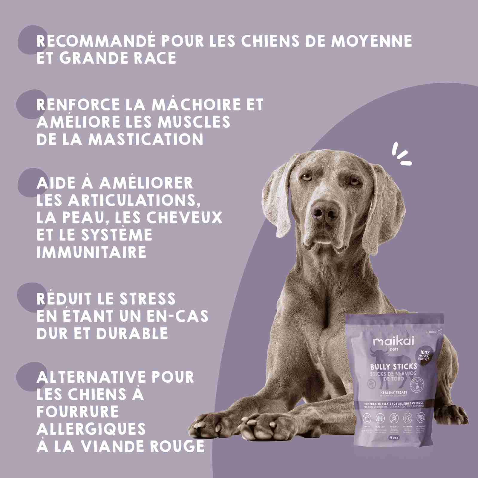 Tendon de taureau déshydraté comme snack pour chiens