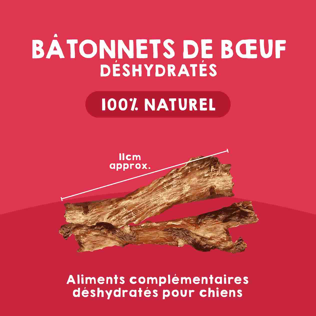 Tendons de veau naturels comme friandises pour chiens