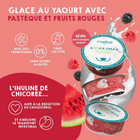 Yaourt avec probiotiques pour chiens et chats, 4 unités.