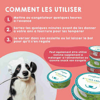 Yaourt avec probiotiques Maikai Pets pour chiens et chats