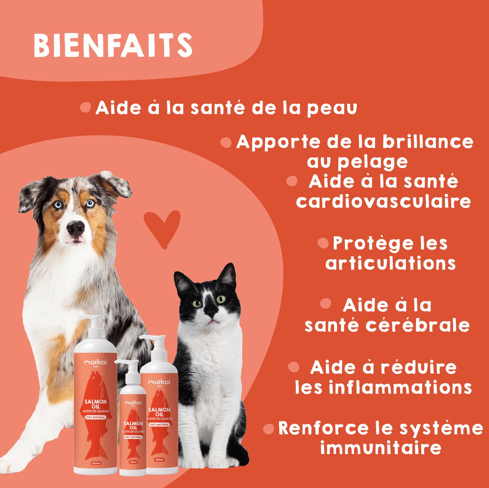 Les bienfaits de l’huile de saumon pour la santé des chiens et des chats