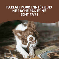Bois de cerf entiers pour chiens