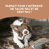 Bois de cerf fendu, jouet naturel pour chiens.