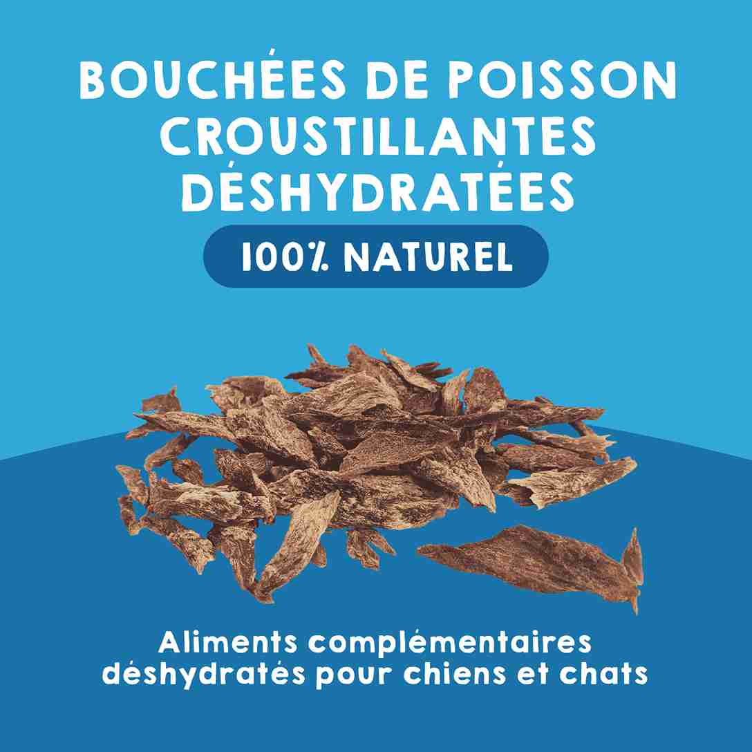 Bouchées croquantes de poisson naturelles pour chiens et chats