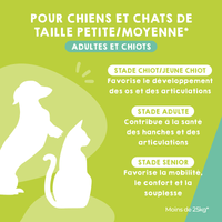 Complement articulaire pour chiens de petites et moyennes races et chats