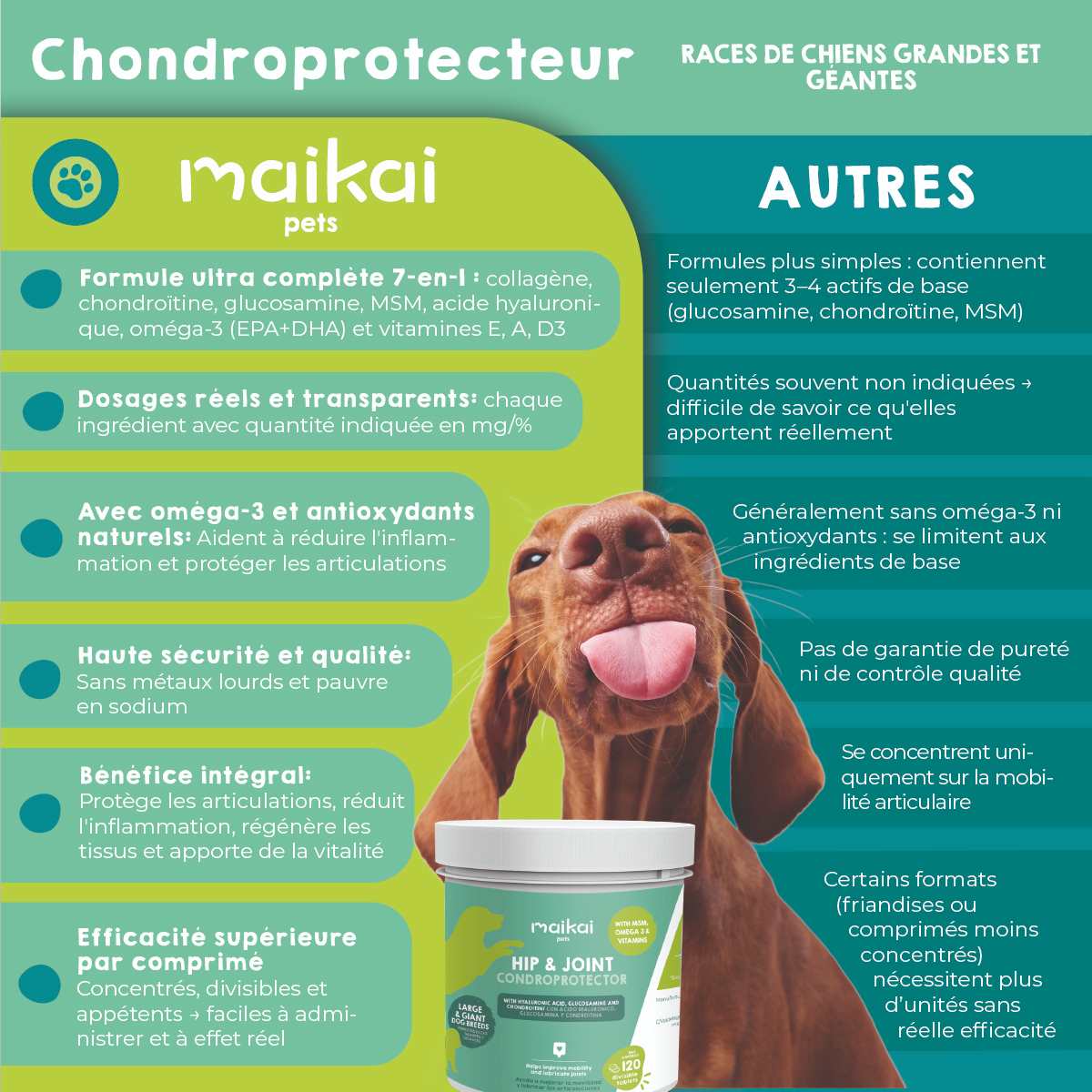 Comprimés de soutien articulaire pour les grands chiens