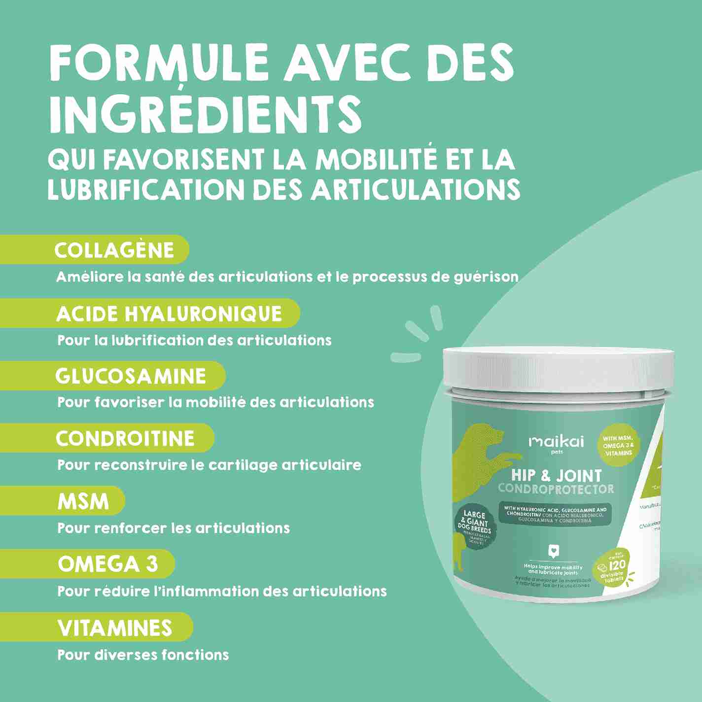 Douleurs articulaires et inconfort chez les grands chiens