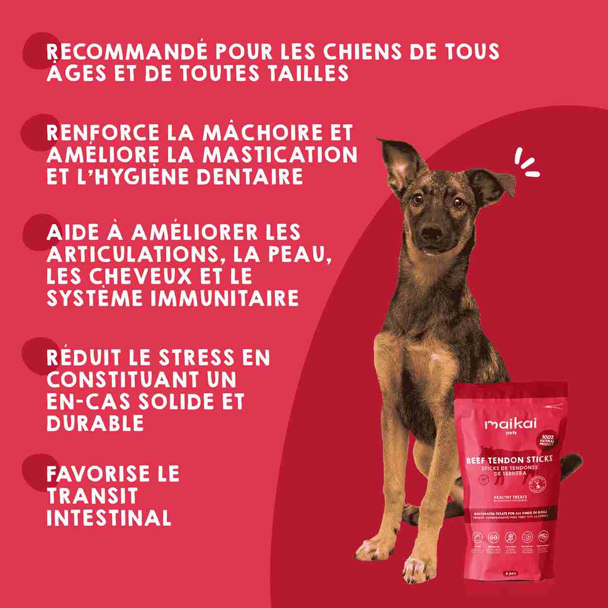 Friandise naturelle de tendon de veau pour chiens
