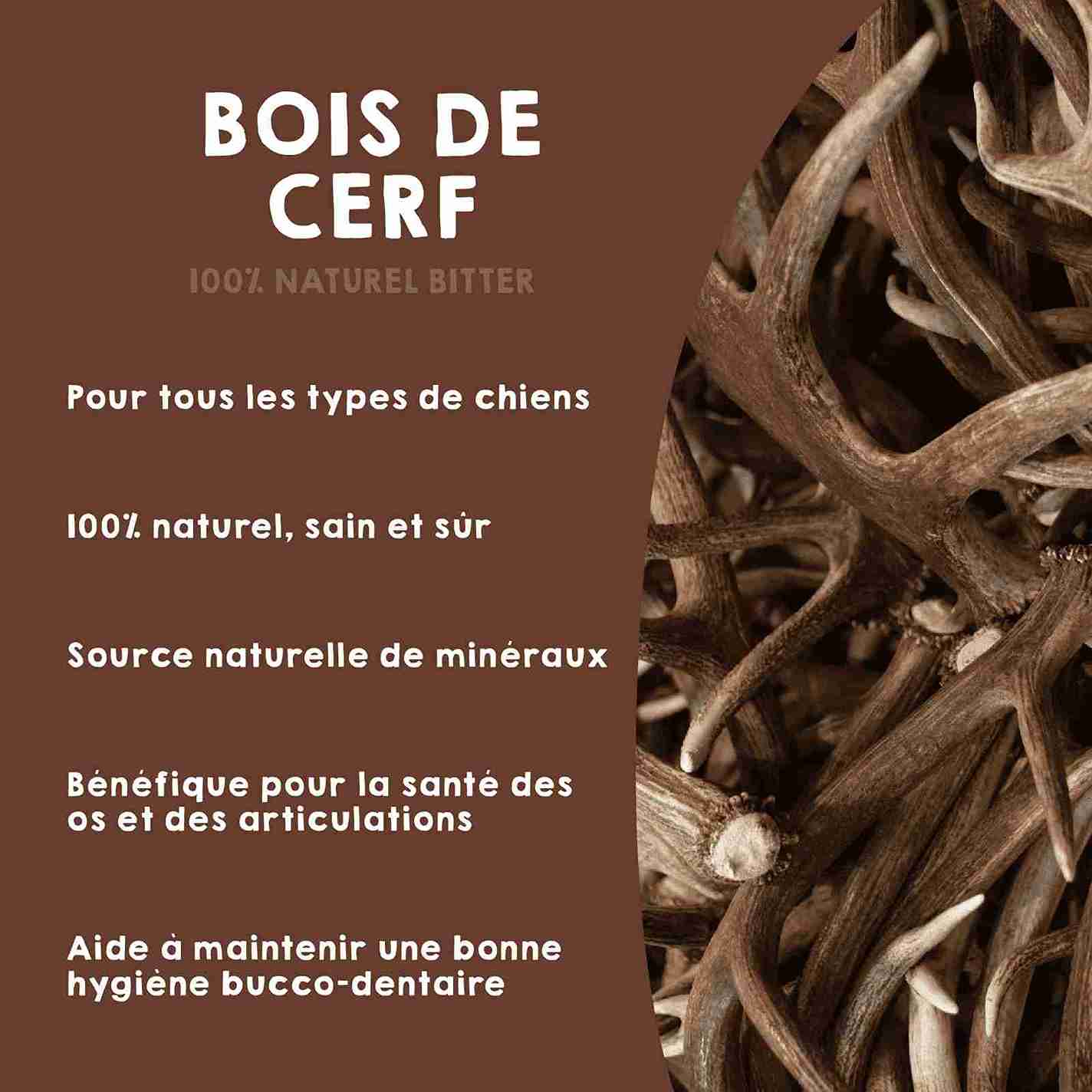 Jouets à mâcher en bois de cerf entier pour chiens.