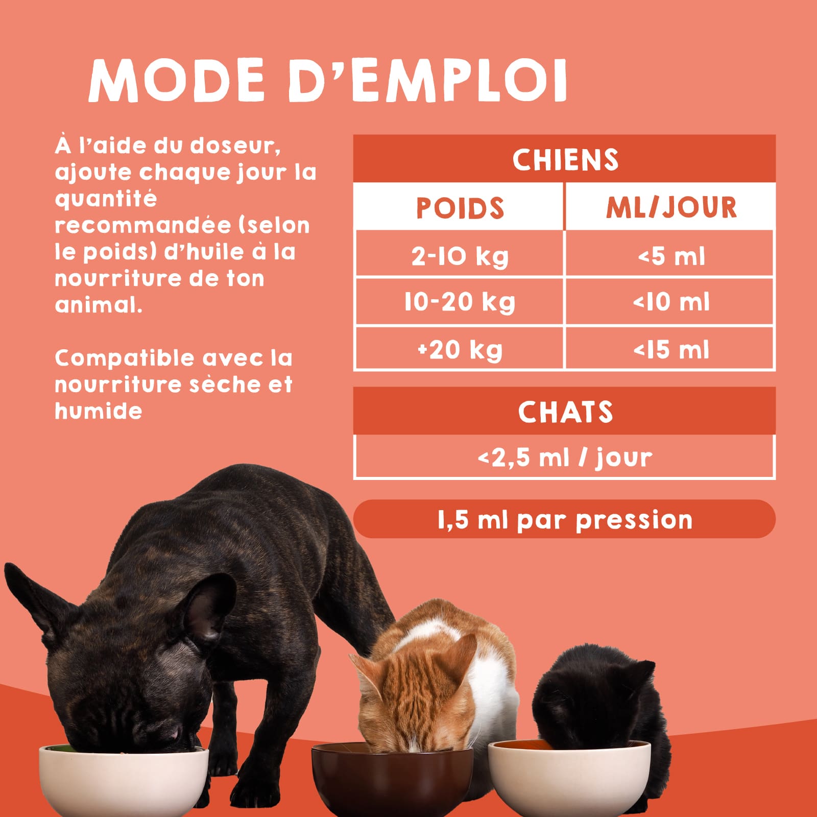 Mode d’emploi de l’huile de saumon pour chiens et chats