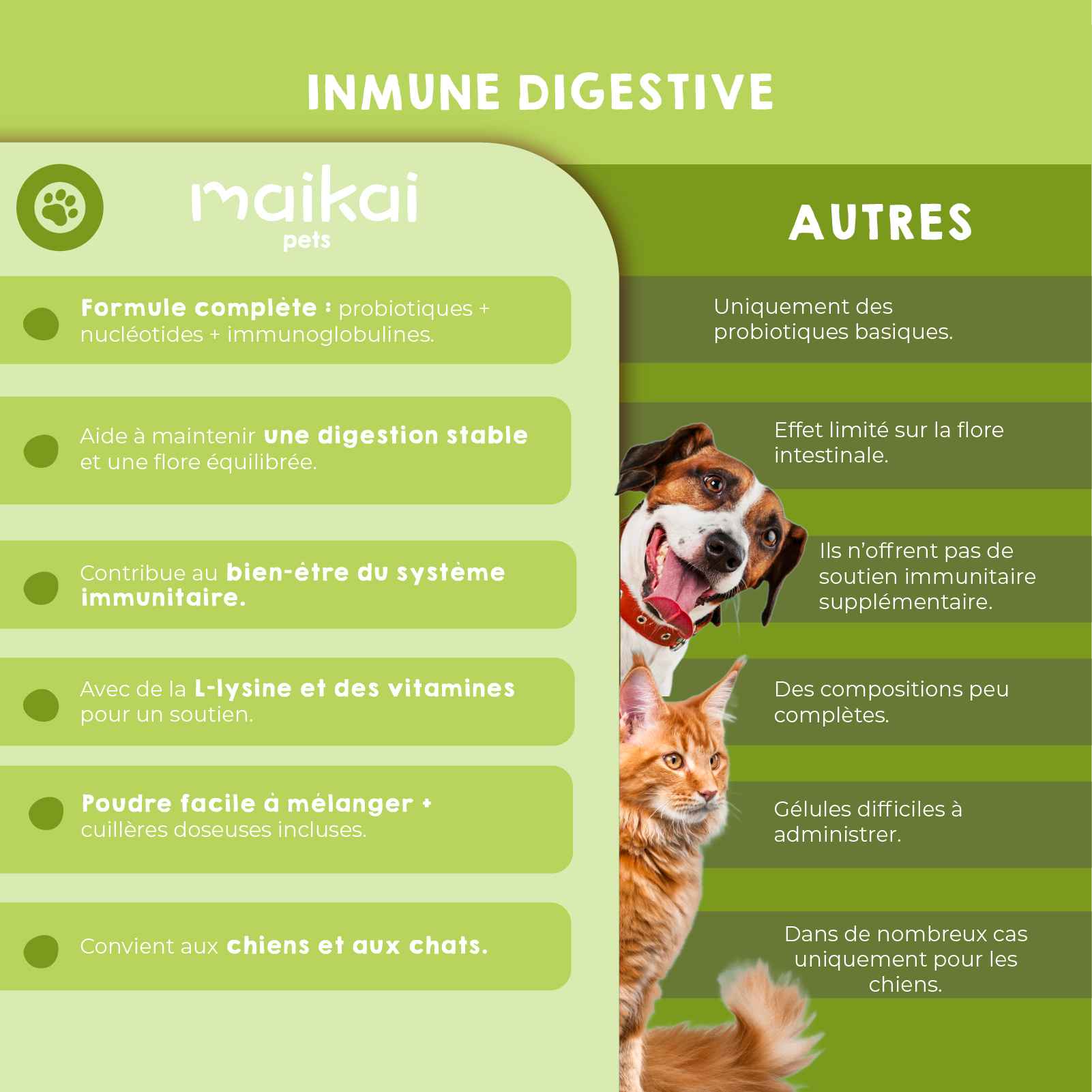 Probiotique naturel pour l’immunité et la digestion des chiens