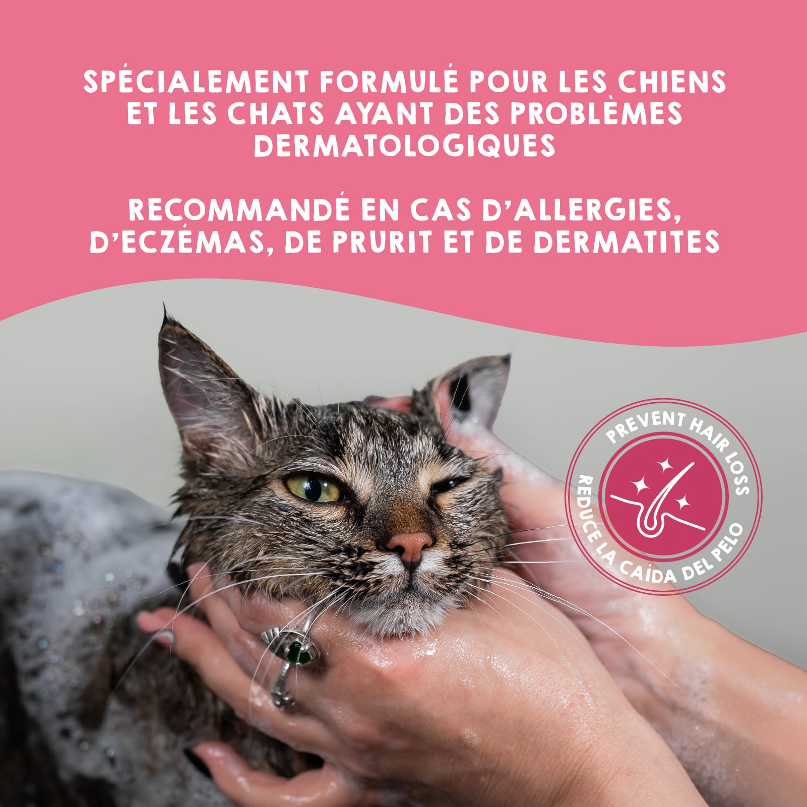 Shampoing pour chiens à peau sensible et sujets à la dermatite.