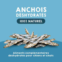 Snacks aux anchois pour chiens et chats