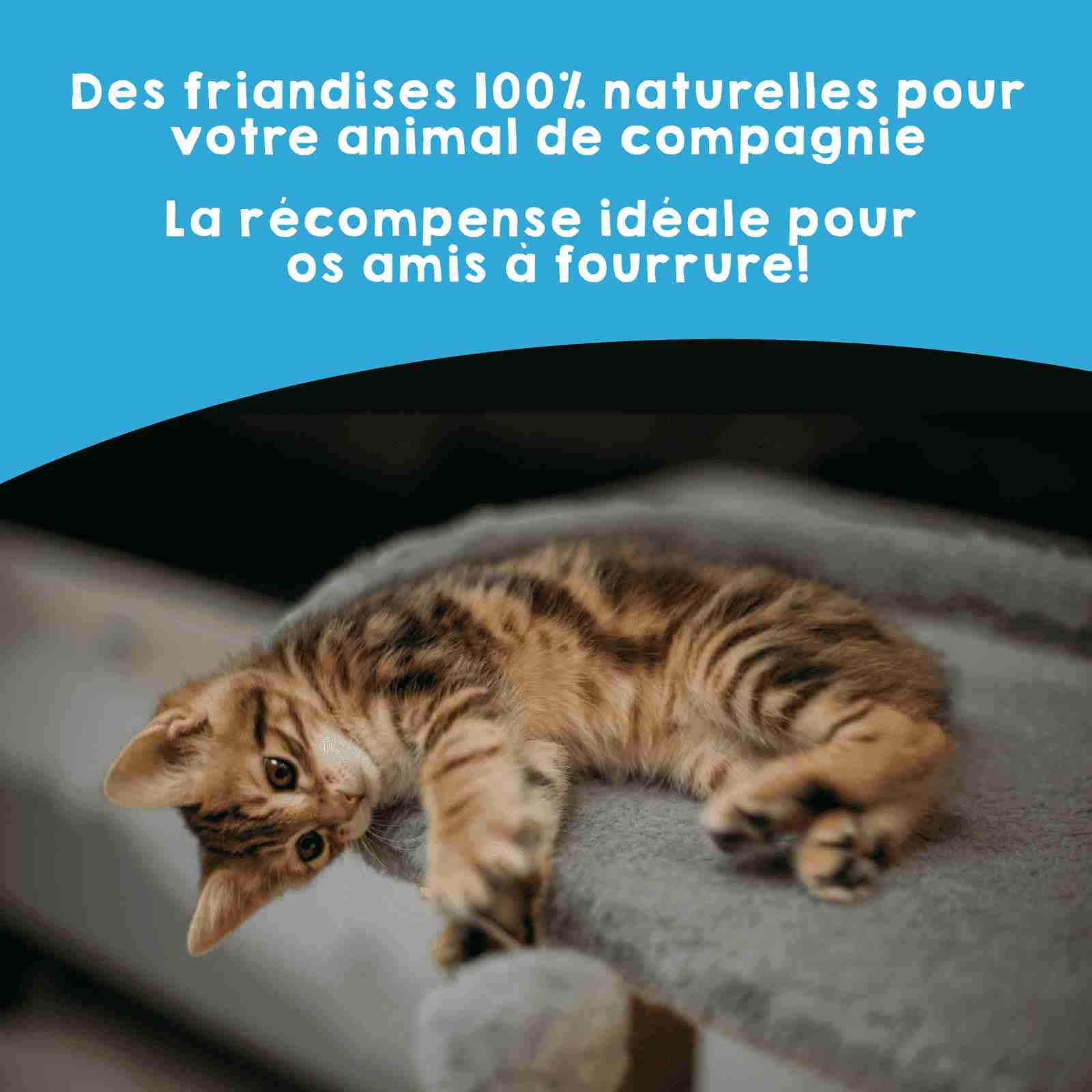 Snacks naturels au poisson déshydraté pour chiens et chats