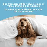 Snacks naturels aux anchois déshydratés pour chiens et chats