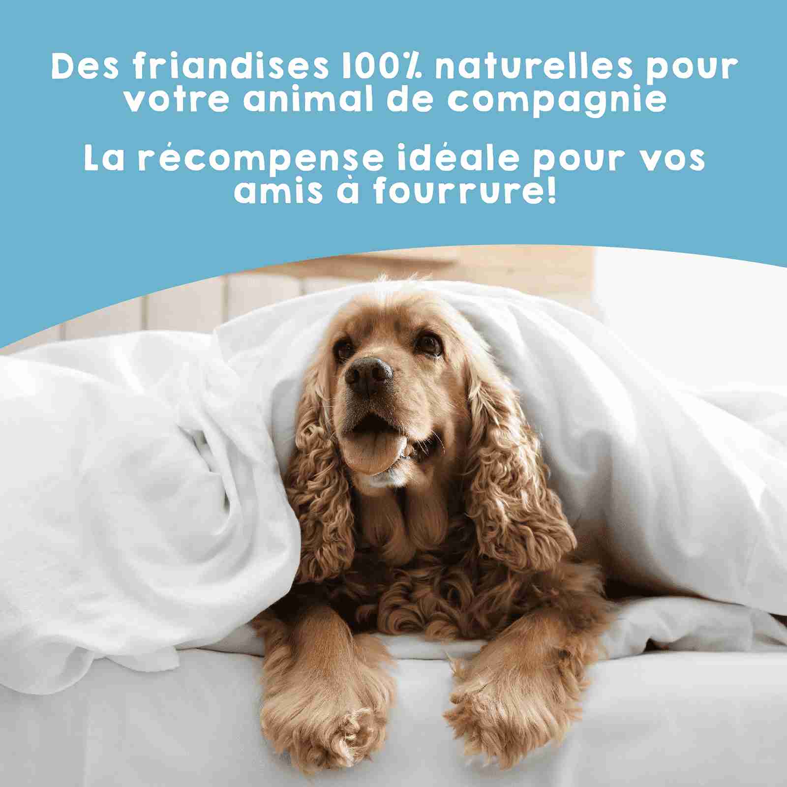 Snacks naturels aux anchois déshydratés pour chiens et chats