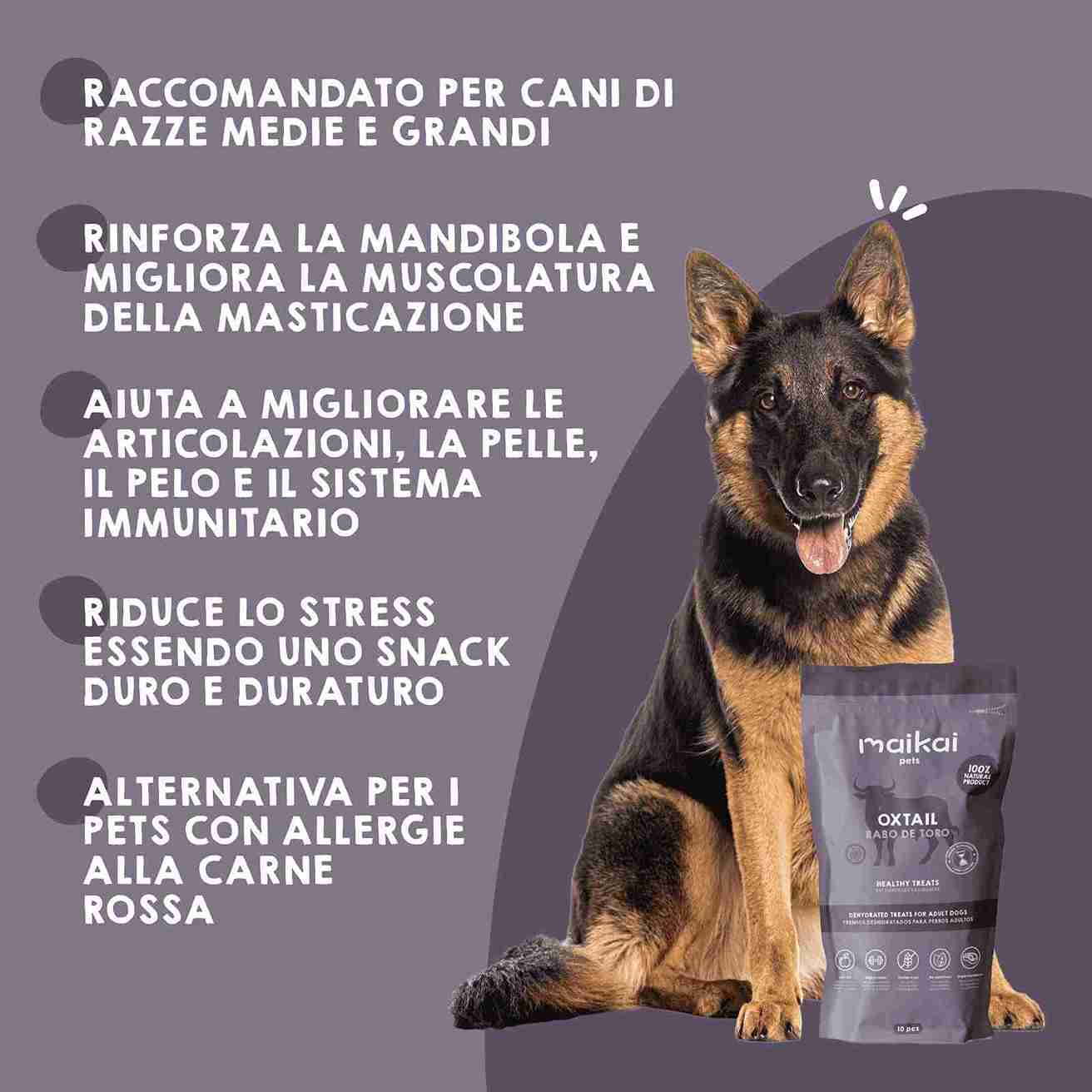 Coda di toro naturale come snack da masticare per cani