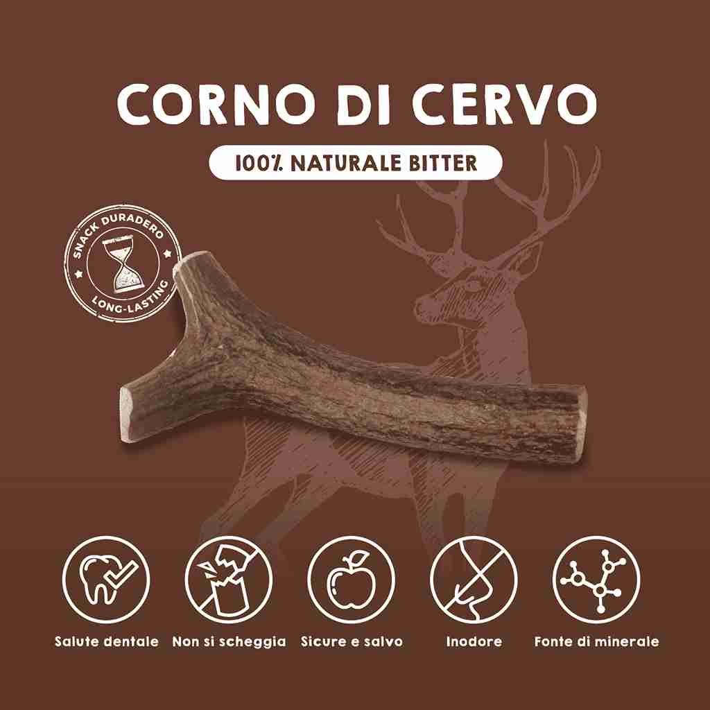 Corna di cervo per cani.