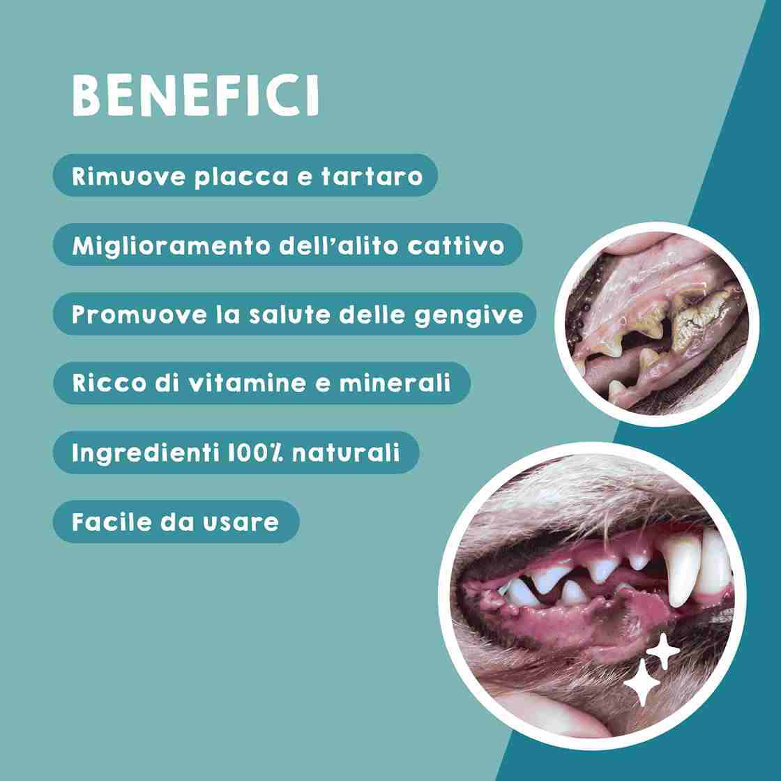 Detergente dentale per cani e gatti, rimuovi placca