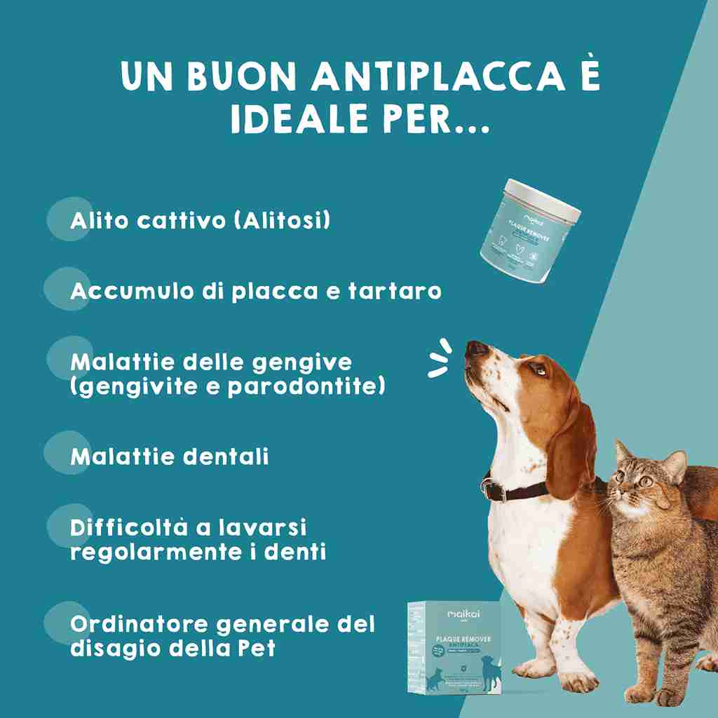 Detergente dentale per cani, rimuovi placca