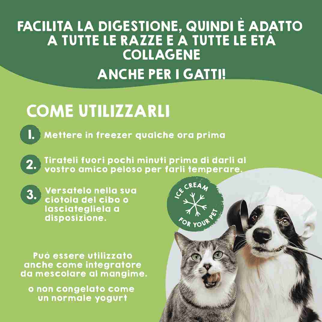 Gelati per gatti, 4 unità.