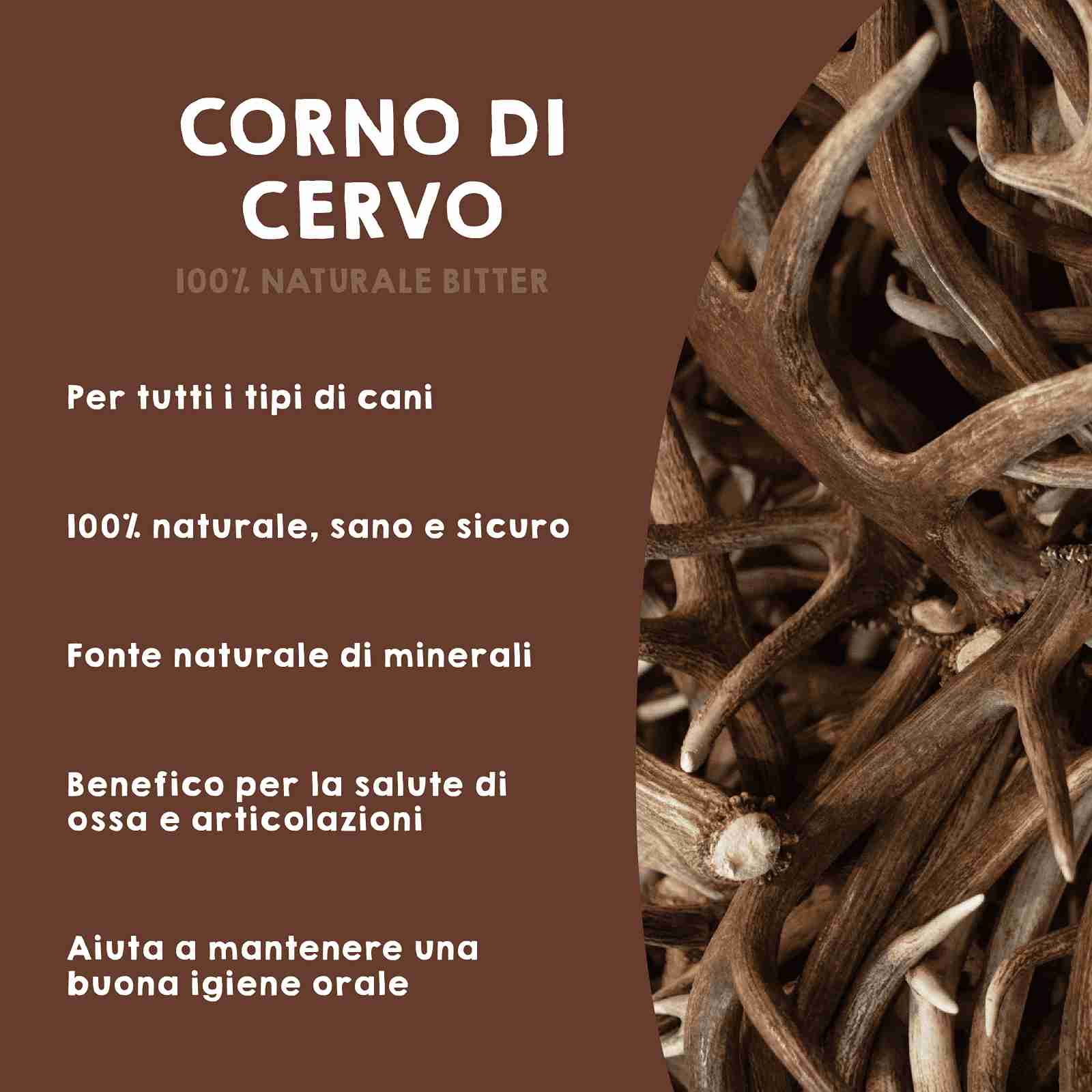 Gioco da masticare in corno di cervo intero per cani.