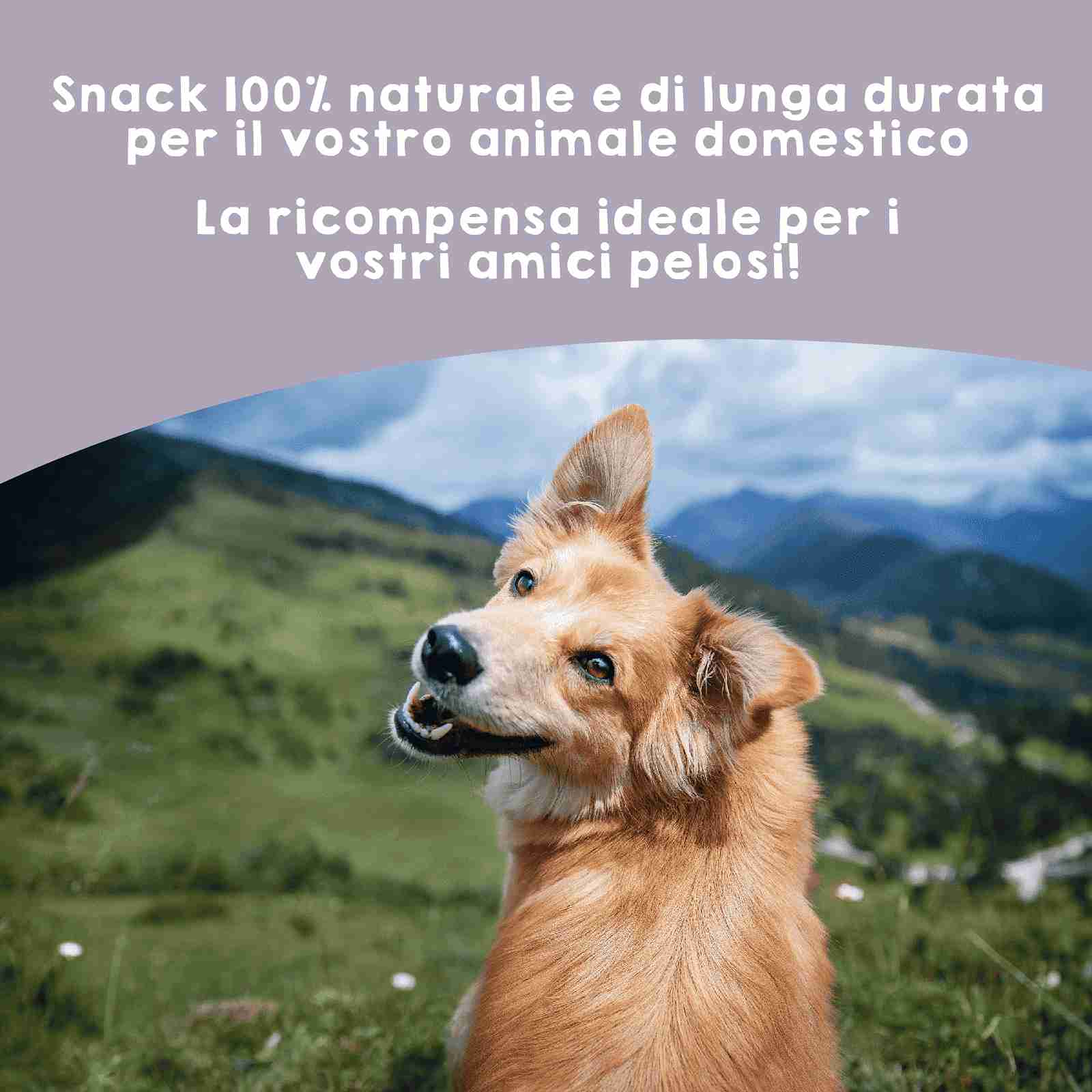 Morditore naturale di nervo di toro per cani