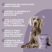 Nervo di bue disidratato come snack per cani