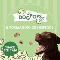 Popcorn di formaggio senza lattosio come snack per cani