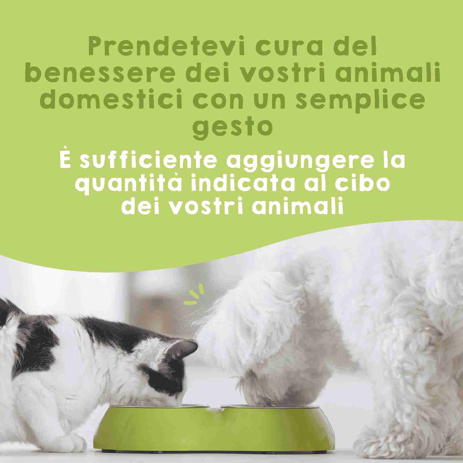Probiotici naturali per l’immunità e la digestione di cani e gatti
