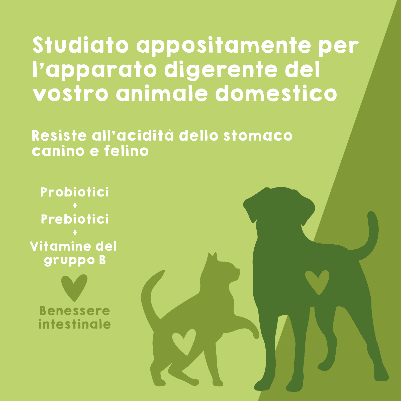 Probiotici naturali per le diarree e la digestione dei cani