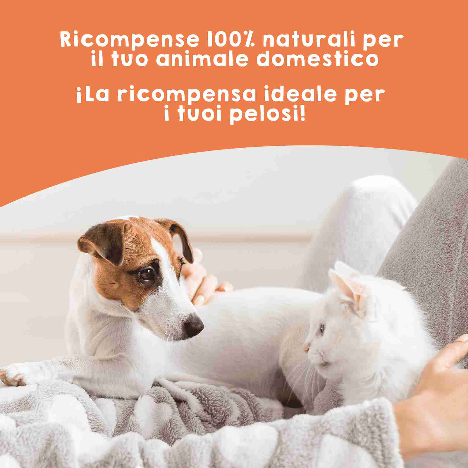 Snack naturali di cozze a labbro verde per cani e gatti