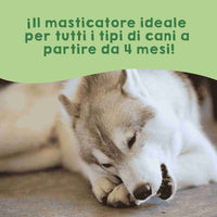 Snack al formaggio dell’Himalaya per cani.