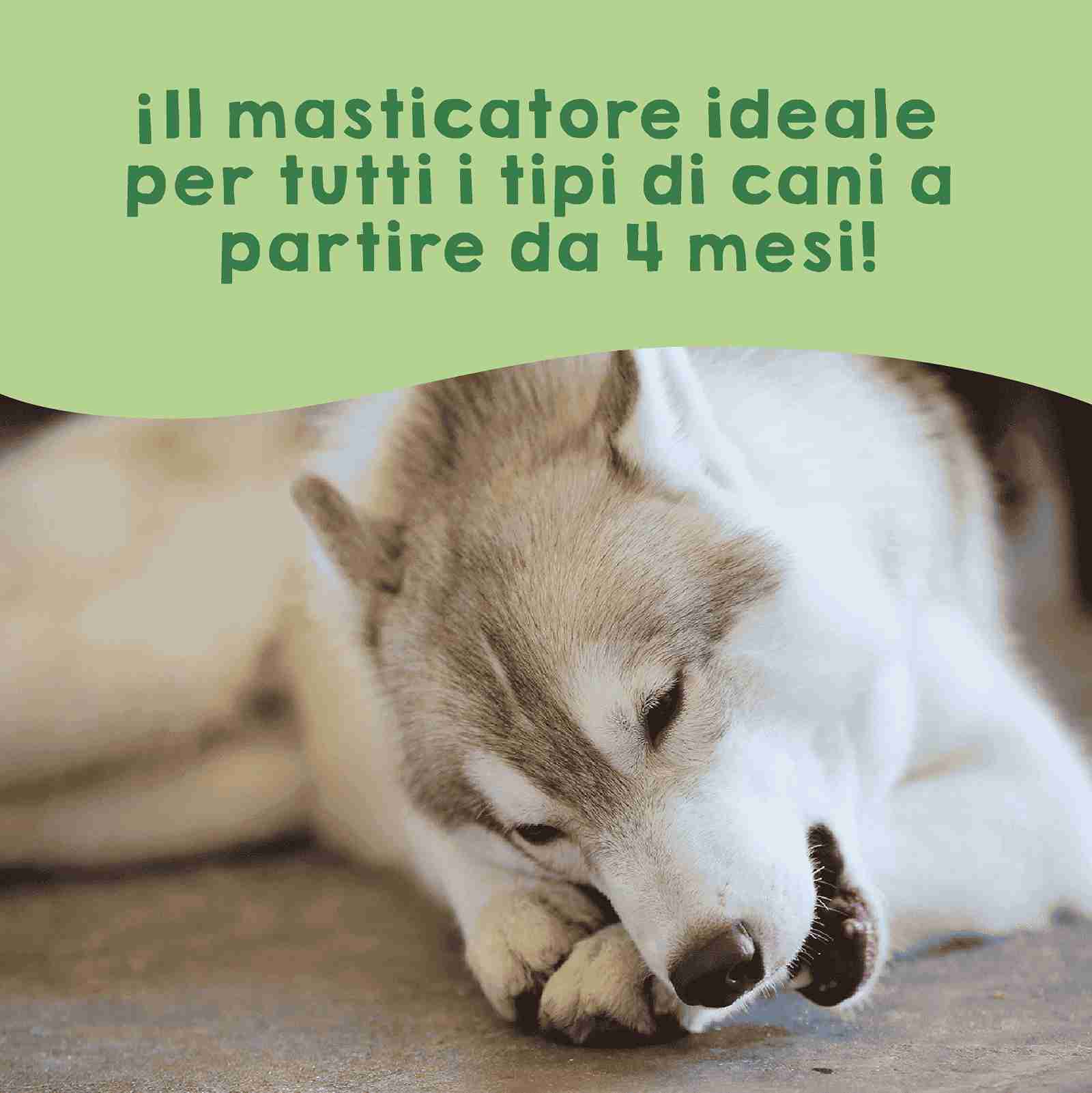 Snack al formaggio dell’Himalaya per cani.