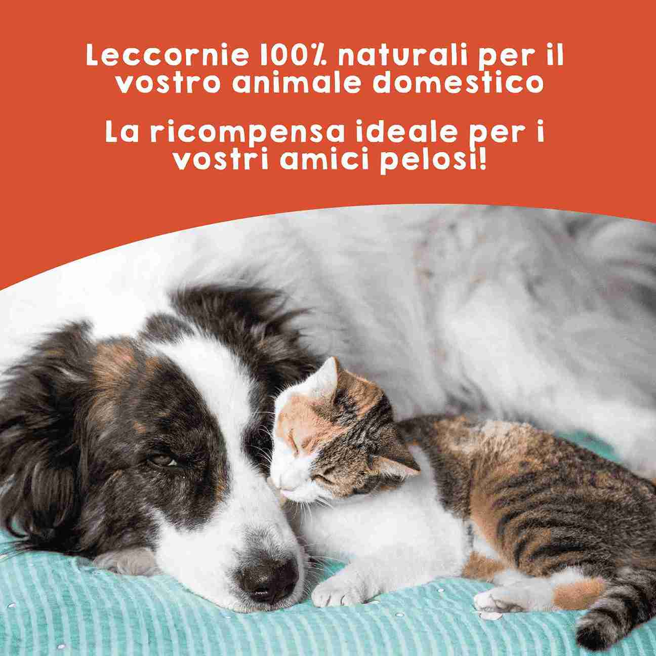 Snack naturale in rotolino di salmone come premio per cani e gatti