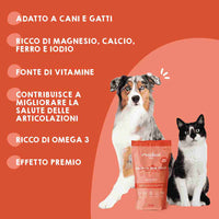 Snack naturali in rotolini di salmone per cani e gatti