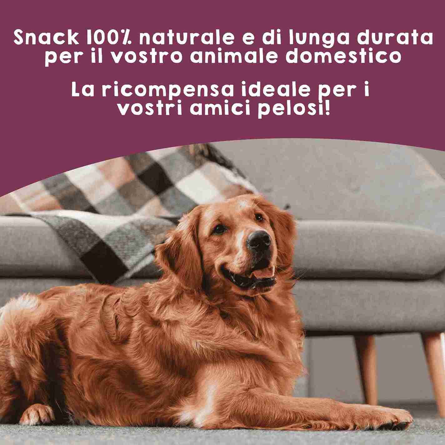 Snack naturale di trachea di mucca per cani