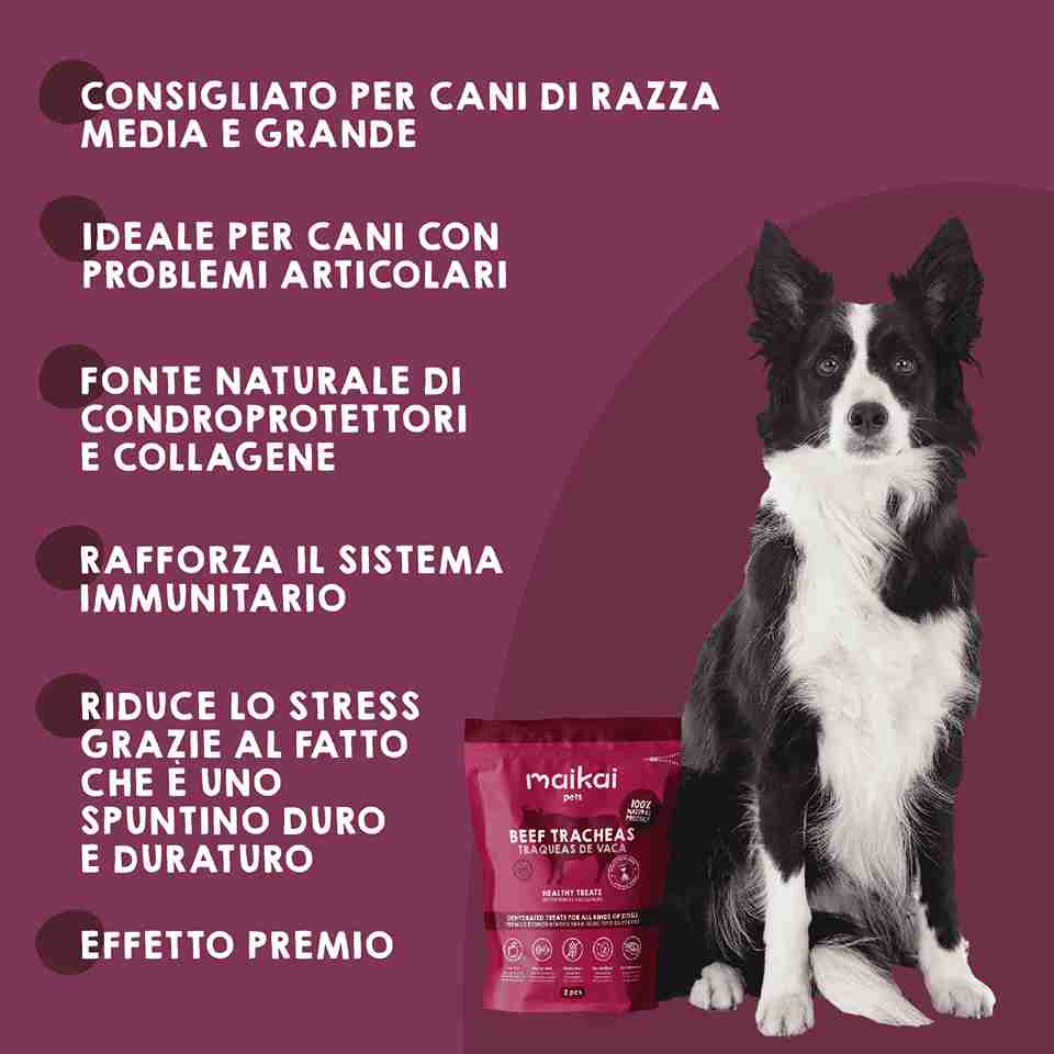 Trachea di vitello disidratata come snack naturale per cani