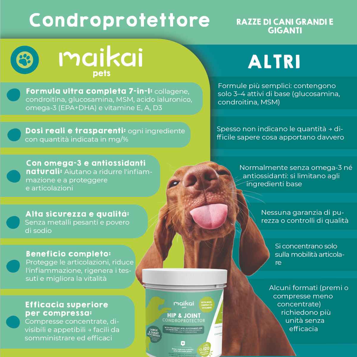 Aiuto per l’artrosi e le articolazioni dei cani di taglia grande