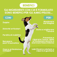 Benefici del supporto articolare per cani e gatti