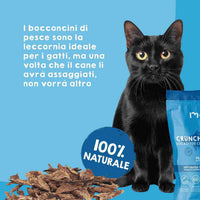 Bocconcini croccanti di pesce per cani e gatti