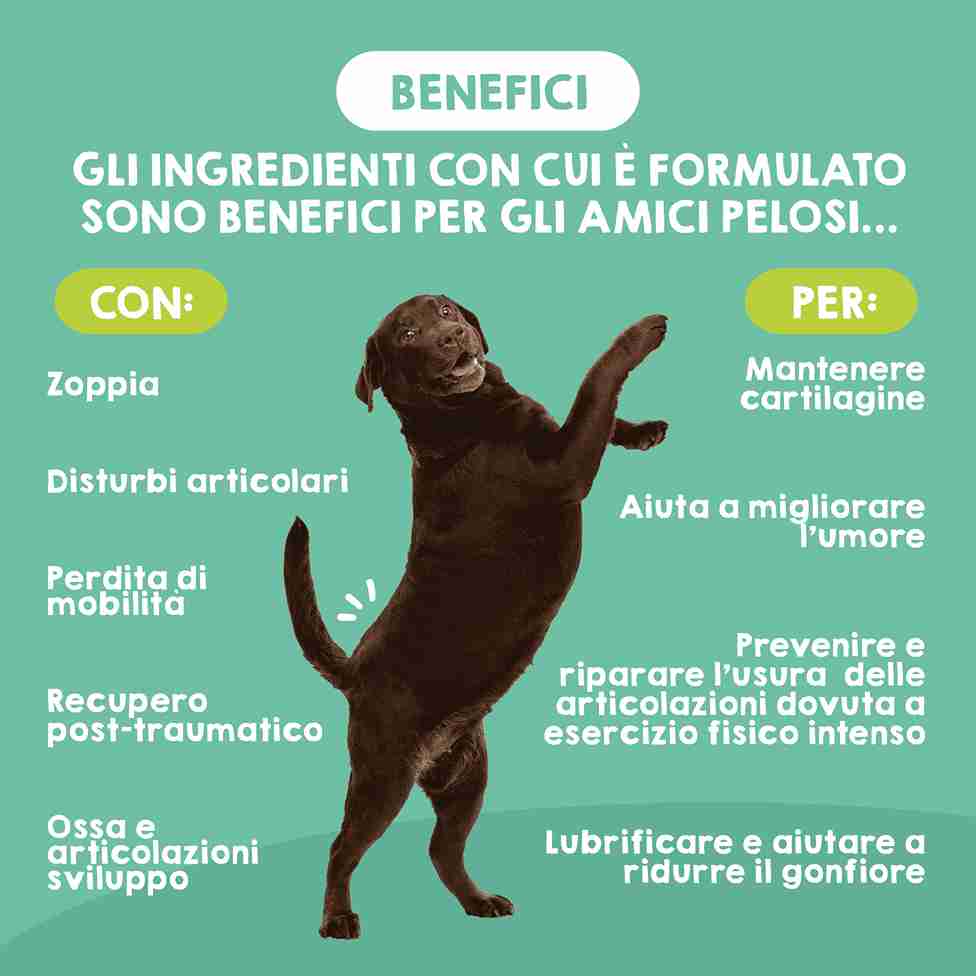 Integratore per le articolazioni dei cani di taglia grande