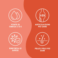 Olio di salmone premium per cani e gatti
